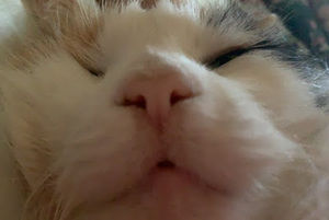 Meet your Posher, Keely